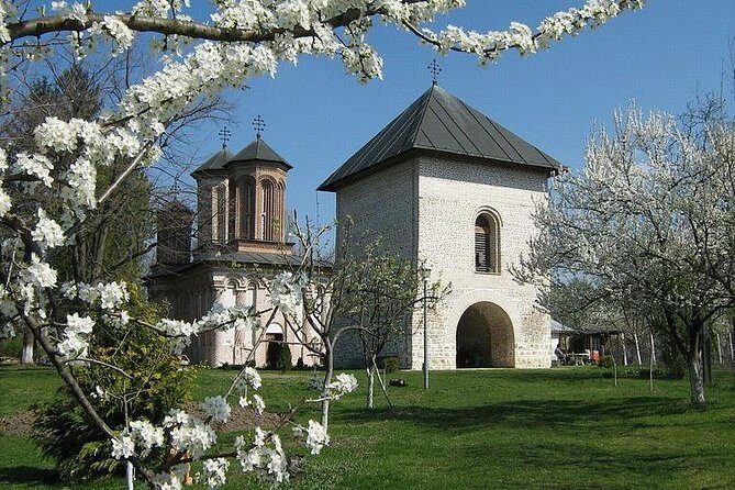 Dracula's Tomb and Mogosoaia Palace, Private Tour from Bucharest - FAQ