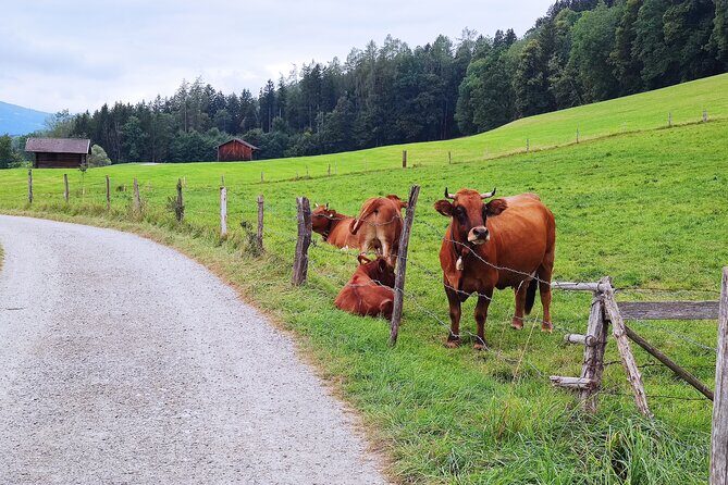 Dragon Slayer Way Beer Hike Food Experience Private Tour (departs Munich) - Exploring the Munich to Murnau Journey