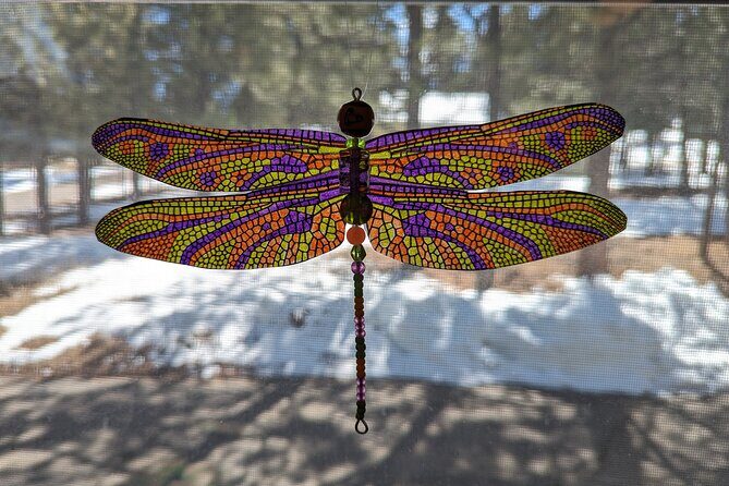Dragonfly Suncatcher Art Kit in Estes Park - The Sum Up: Who Will Love This Experience?