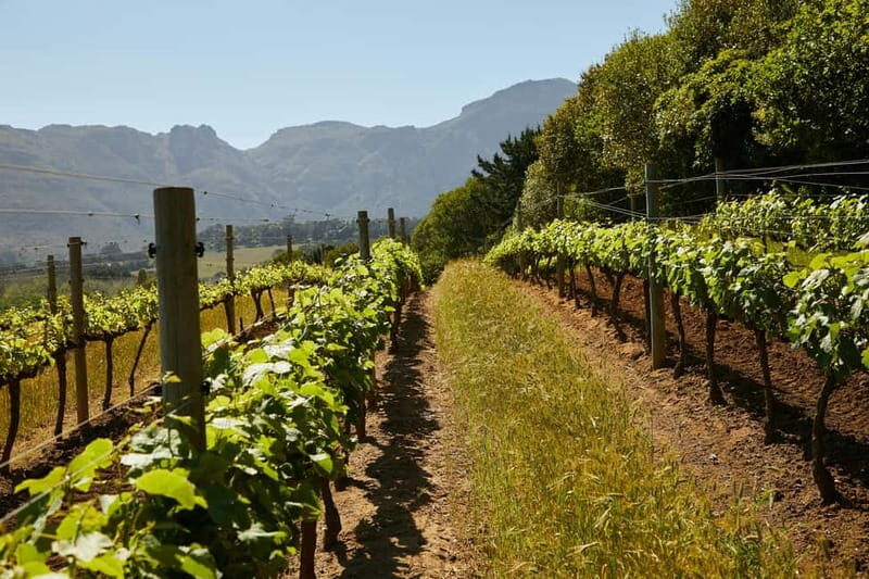 Dream Tour Athens: Acropolis Guided Tour and Wine Tasting - FAQ