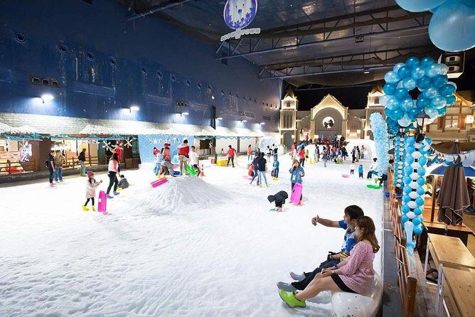 Dream World & Snow Town Theme Park Ticket - Hotel Pickup & Lunch - Who Is This Tour Best Suited For?