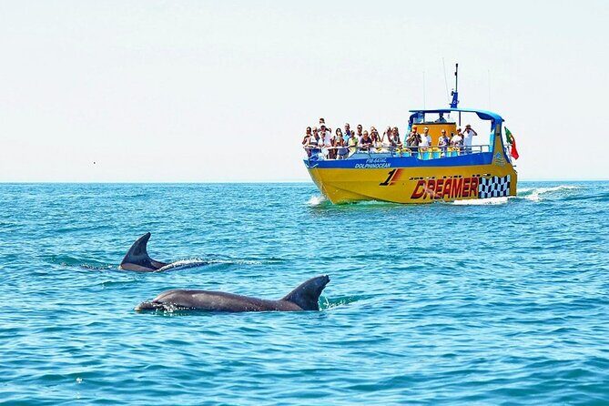 Dreamer Cave and Dolphins Boat Tour Ticket Albufeira - A Closer Look at the Dreamer Cave and Dolphins Tour