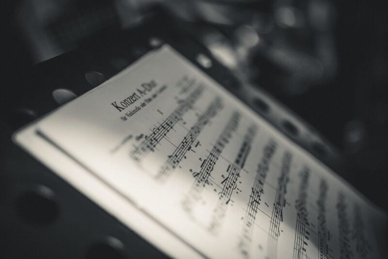 Dresden: Festive Christmas Concert in the Zwinger - Dresden: Festive Christmas Concert in the Zwinger — An Authentic Classical Holiday Experience