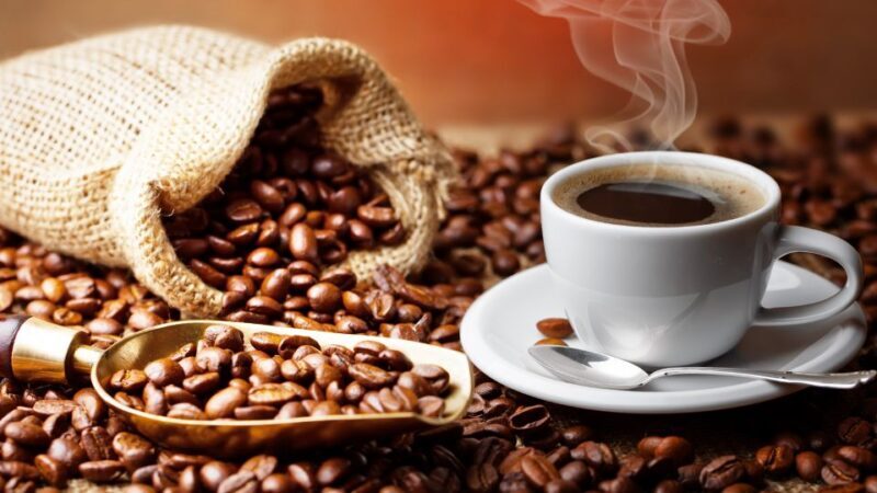 Dresden: Guided Bus Tour to Stollen Bakery with Tasting - The Sum Up: Is It Worth Your Time and Money?