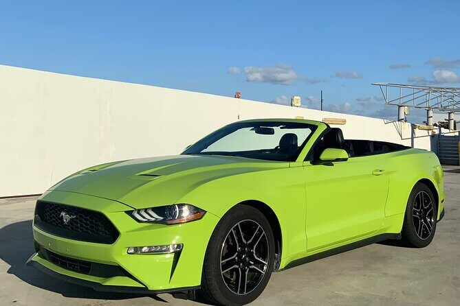 Drive a Mustang Convertible - A Closer Look at the Mustang Convertible Experience
