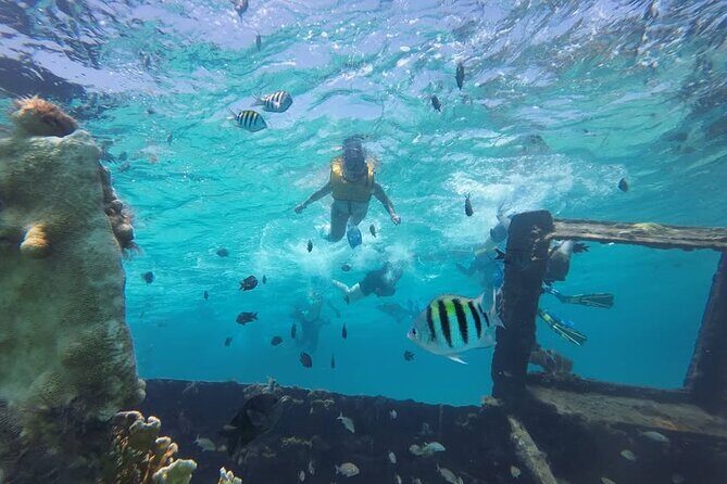 Drive an Speedboat at full speed at Cancun's Lagoon & Snorkeling - Who This Tour Is Best For