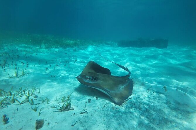 Drive an Speedboat at full speed at Cancun's Lagoon & Snorkeling - Final Thoughts: Is It Worth It?