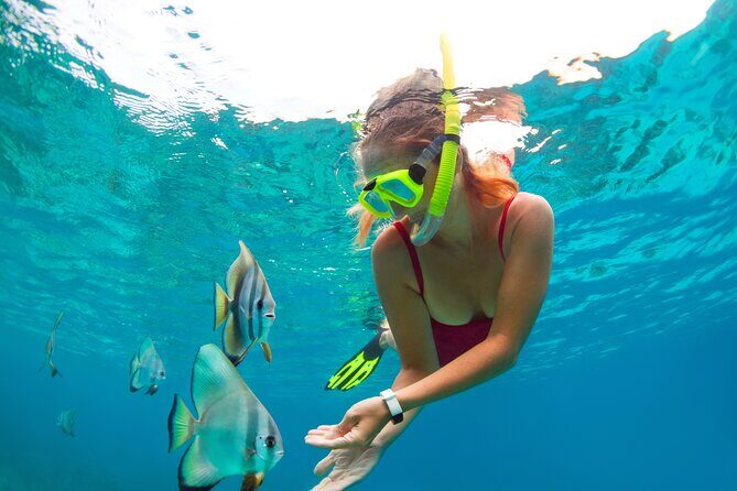 Drive an Speedboat + Mayan Ritual + Food Tasting and More! - Snorkeling in Cancun’s Reefs