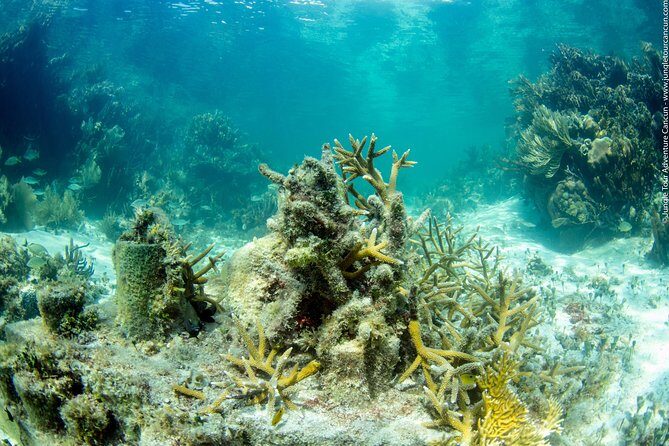 Drive the best speedboat in Cancun and feel the adrenaline. - Who Should Consider This Tour?