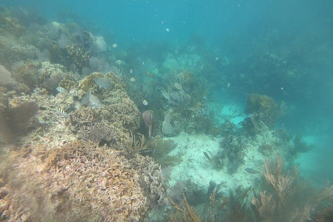 Drive the best speedboat in Cancun and feel the adrenaline. - FAQs