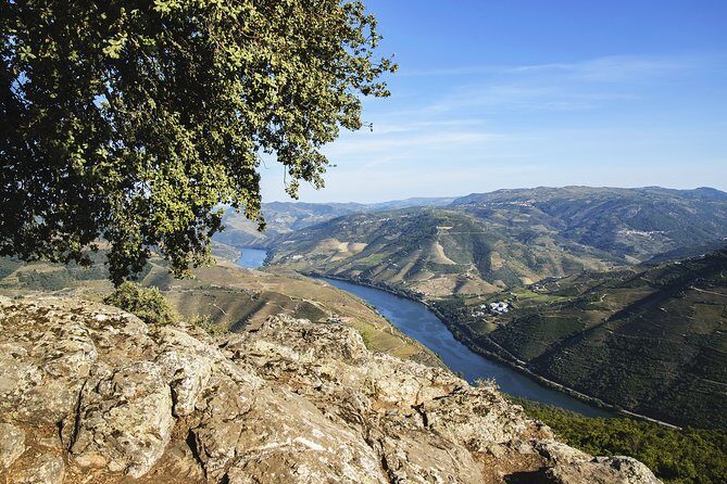 Driver with Private Vehicle in the Douro Valley - A Deep Dive into the Douro Valley Private Driver Experience