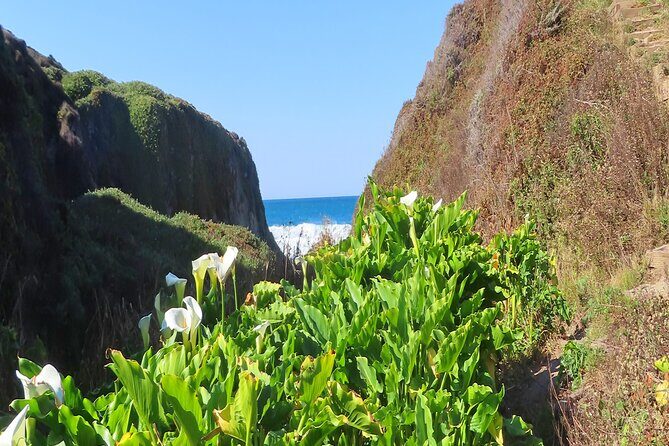 Driving the California Coast: A Self-Guided Audio Tour - The Sum Up: Who Is This Tour Best For?