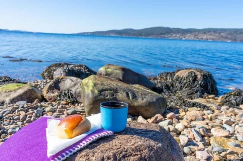Drøbak: Coastal Walk with Coffee, Buns, and Hammocks - Why This Tour Works Well
