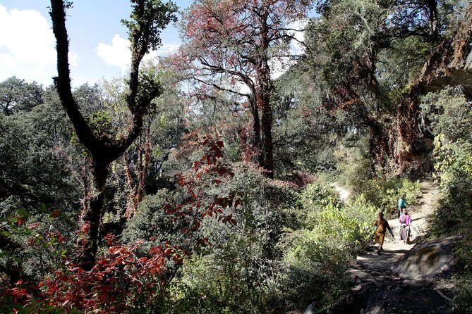 Druk Path Trek: Discover The Raw Natural Beauty of Bhutan - Value & Cost Analysis