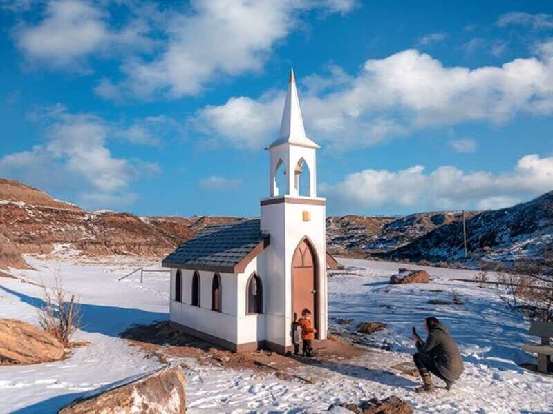 Drumheller: Bad Land & Dinosaur Museum Tour from Calgary - What Makes This Tour Stand Out?