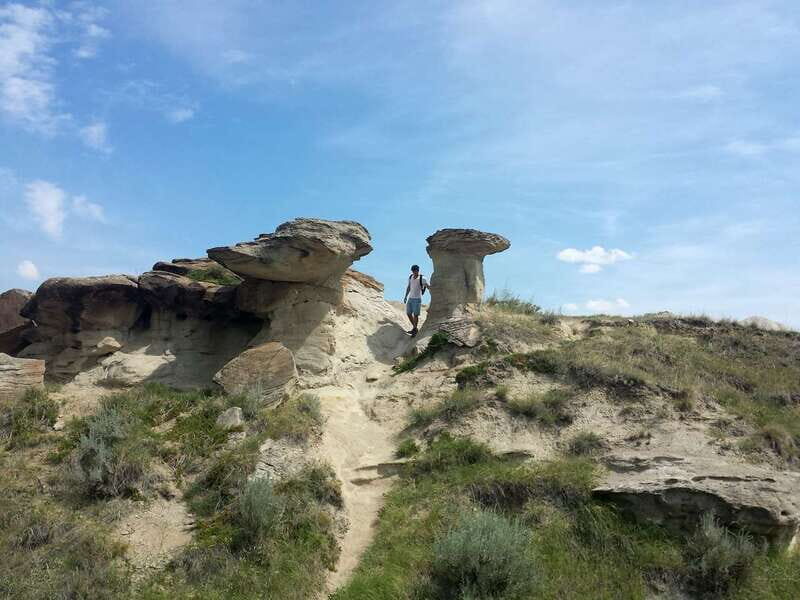 Drumheller: Bad Land & Dinosaur Museum Tour from Calgary - Final Thoughts: Who Is This Tour For?
