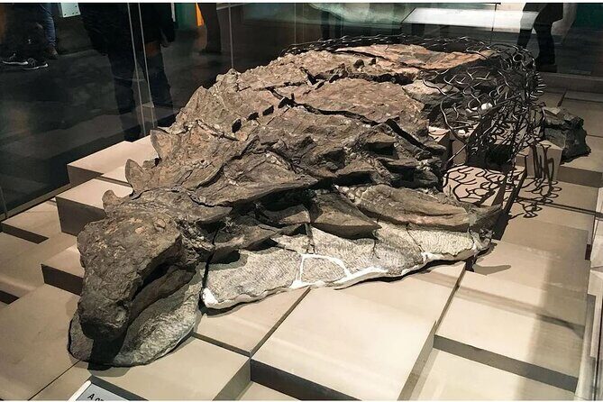 Drumheller Day Trip Museum, Dinosaurs and Historic Sites - Authenticity and Experience