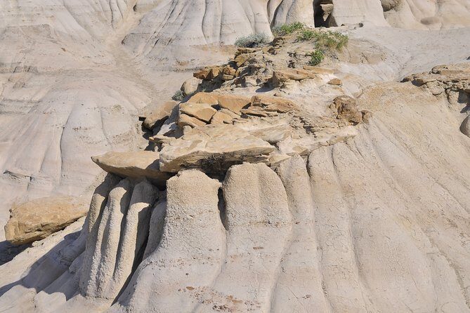 Drumheller Dinosaur Valley & Horseshoe Canyon Adventure Day Tour - Authentic Traveler Insights and Common Critiques