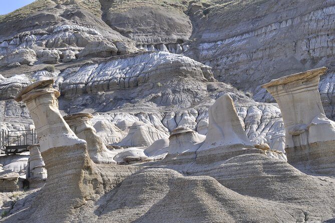 Drumheller Dinosaur Valley & Horseshoe Canyon Adventure Day Tour - Final Thoughts: Is This Tour Right for You?