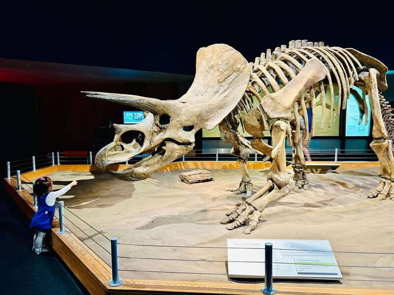 Drumheller Full-day Private Sightseeing Tour - A Closer Look at the Itinerary and Experience