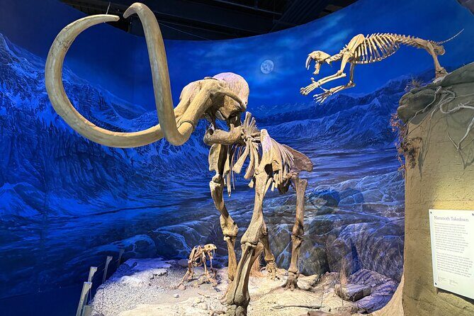 Drumheller & Hoodoos Private Luxury guided Day Tour from Calgary - The Royal Tyrrell Museum: Dinosaur Central