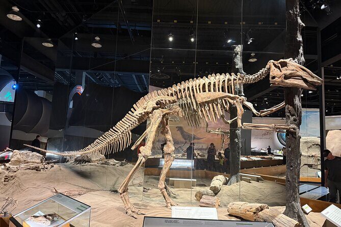 Drumheller & Hoodoos Private Luxury guided Day Tour from Calgary - The Hoodoos: Iconic Erosion-Formed Pillars