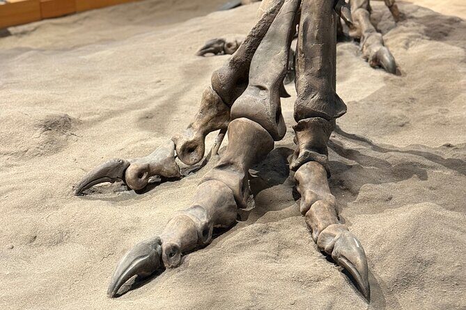 Drumheller & Hoodoos Private Luxury guided Day Tour from Calgary - The Last Chance Saloon: A Taste of Frontier History