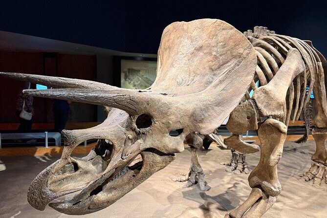 Drumheller & Hoodoos Private Luxury guided Day Tour from Calgary - Practical Aspects: What’s Included and What’s Not