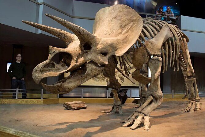 Drumheller, Royal Tyrrell Museum, Hoodoos & Coal Mine Adventure - The Sum Up: Who Should Book This?