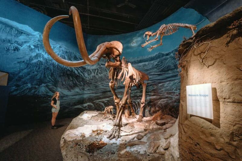 Drumheller Royal Tyrrell Museum,Hoodoos,Horshoe Canon,Bridge - An In-Depth Look at the Experience