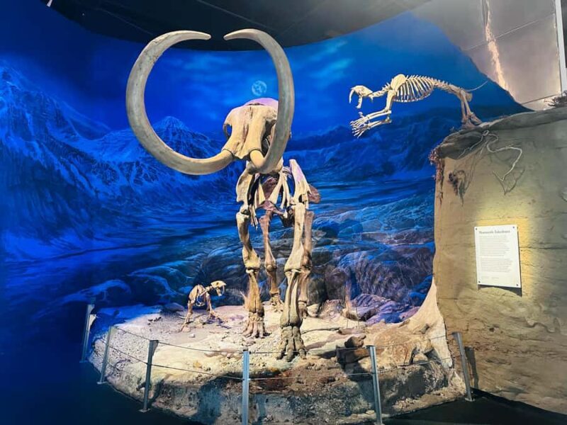Drumheller Tour: Museum, Hoodoos,Horseshoe Canyon & Lot More - The Royal Tyrrell Museum: Dinosaur Central