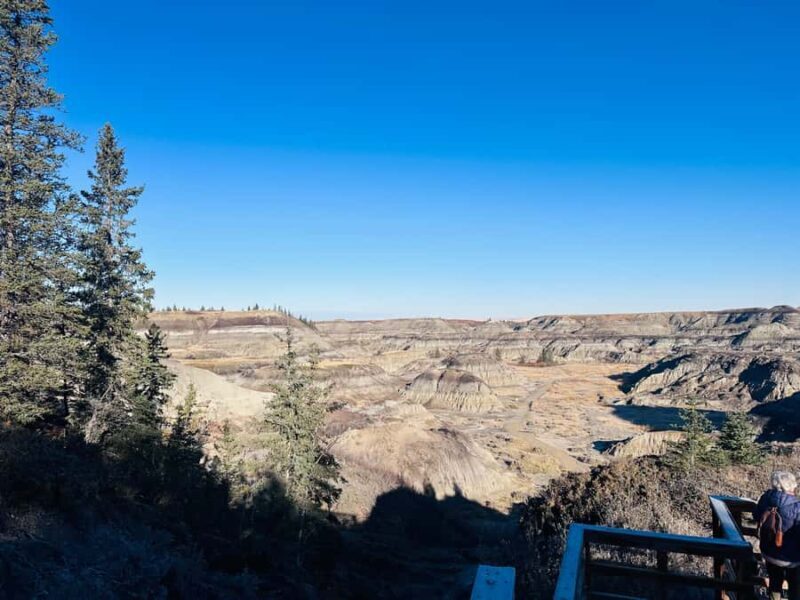 Drumheller Tour: Museum, Hoodoos,Horseshoe Canyon & Lot More - The Atlas Coal Mine: A Glimpse into Albertas Mining Past