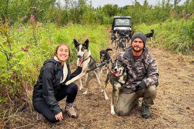 Dryland Dog Sled Tour - Key Points