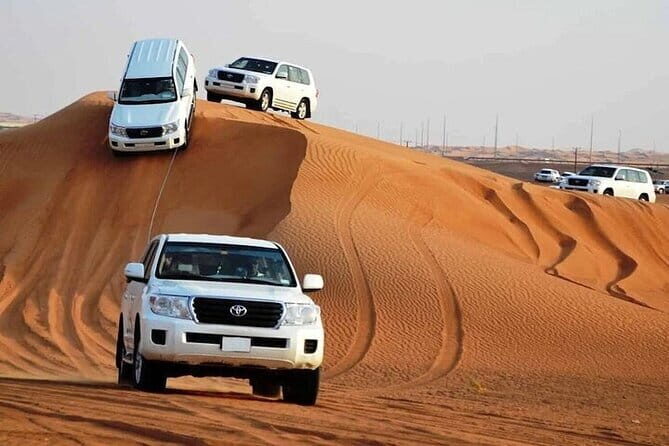 Dubai Desert Safari In Private Vehicle - Final Thoughts: Is it Worth It?