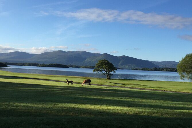 Dublin Airport Private Transfer: Killarney to Dublin Airport - Key Points