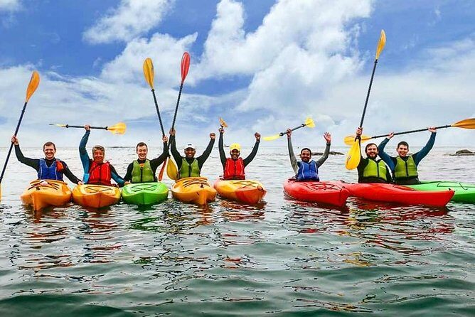 Dublin Bay Seal Kayaking Safari at Dalkey - Review Highlights: Authentic Feedback