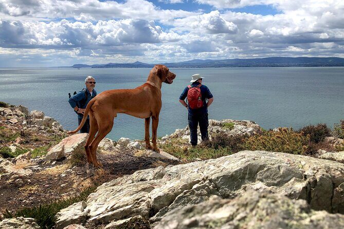 Dublin Coastal Hike with Howth Adventures - What to Expect: Practical Details & Benefits