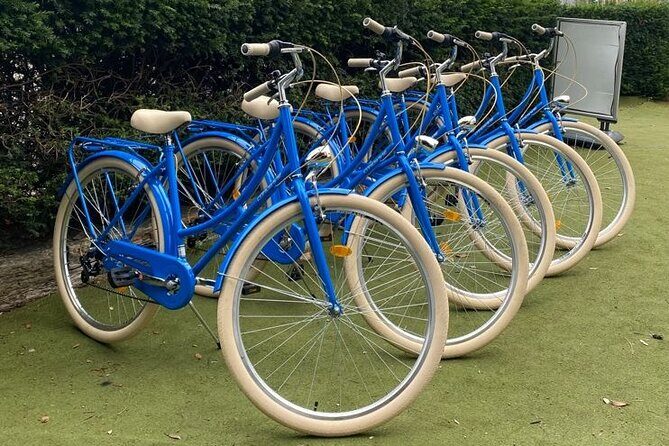 Dublin Full Day Bike Rental - An In-Depth Look at Dublin’s Phoenix Park Bike Experience