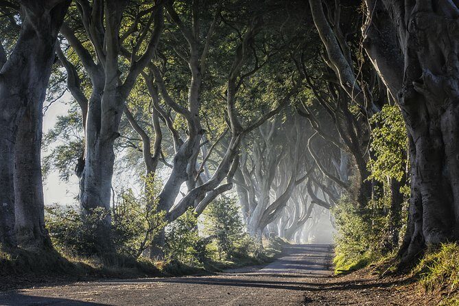 Dublin: Giant's Causeway, Dark Hedges, Dunluce and Belfast Titanic entrance fee - FAQ