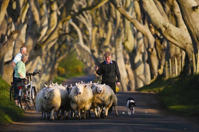 Dublin: Giant's Causeway, Dark Hedges, Dunluce and Belfast Titanic entrance fee - Final thoughts