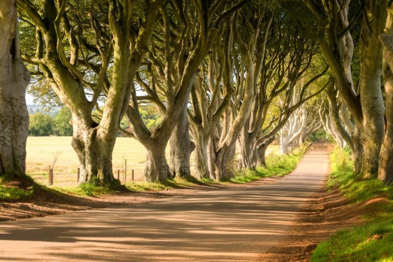 Dublin: Giants Causeway, Dark Hedges, Dunluce & Belfast Tour - Key Points