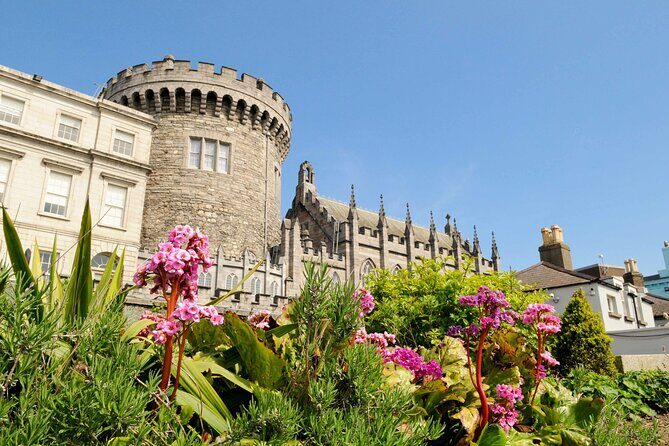Dublin Private Tour with Skip-the-line Dublin Castle Tickets - Dublin Private Tour with Skip-the-line Dublin Castle Tickets: An In-depth Review