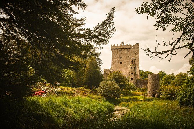 Dublin to South West 5 Day Small-Group Tour with Accommodation - FAQ
