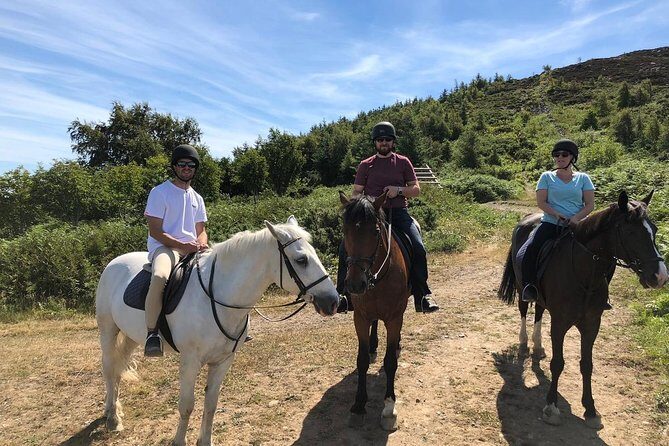 Dublin to Wicklow, Glendalough Small Group Tour with Horse Riding - The Experience in Action: What Do Travelers Say?