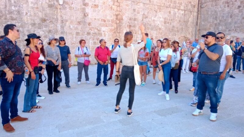 Dubrovnik: 1.5-Hour Guided Old Town Walking Tour - A Detailed Look at the Tour Experience