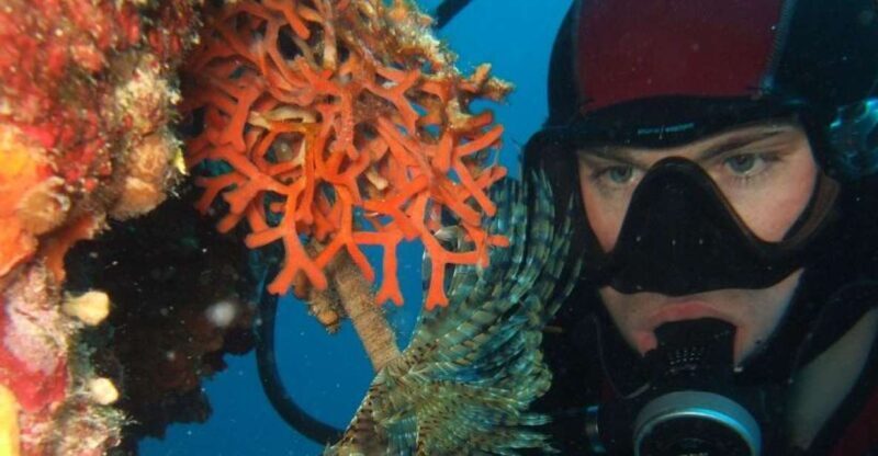 Dubrovnik: 1-Day Diving Package - The Diving Sites: What Makes Them Special?