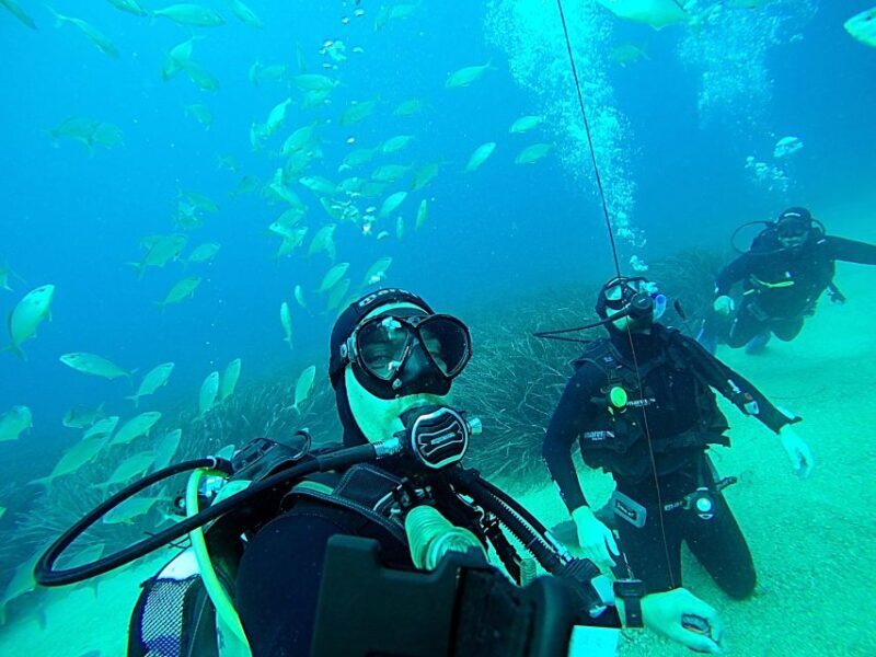 Dubrovnik 2-Hour Uncertified Divers Introductory Dive - Why This Experience Offers Great Value