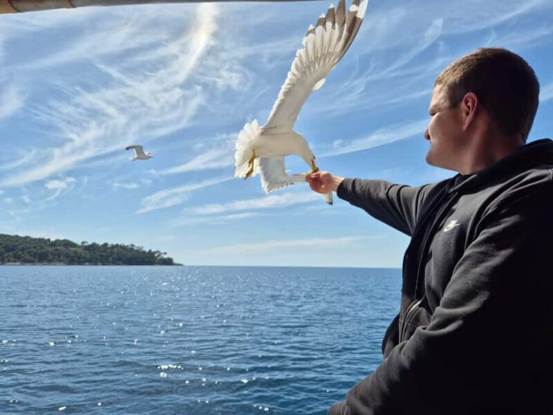 Dubrovnik: 3 Island Boat Tour with Lunch and Guide - Key Points