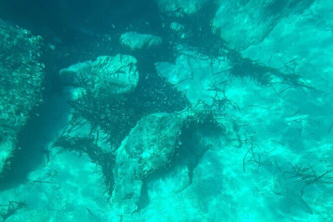 Dubrovnik: Blue Cave & Elaphiti islands & Optional Lunch Onboard - Authentic Insights from Reviewers