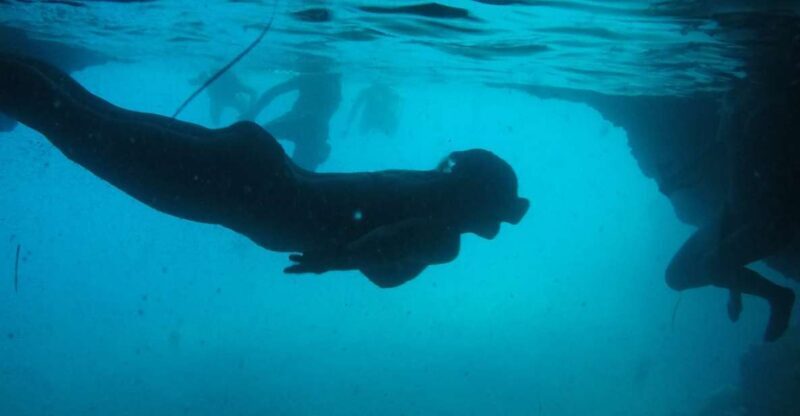 Dubrovnik: Blue Cave & Sunj Beach Boat Tour with Drinks - The Itinerary: What to Expect and Why It Matters